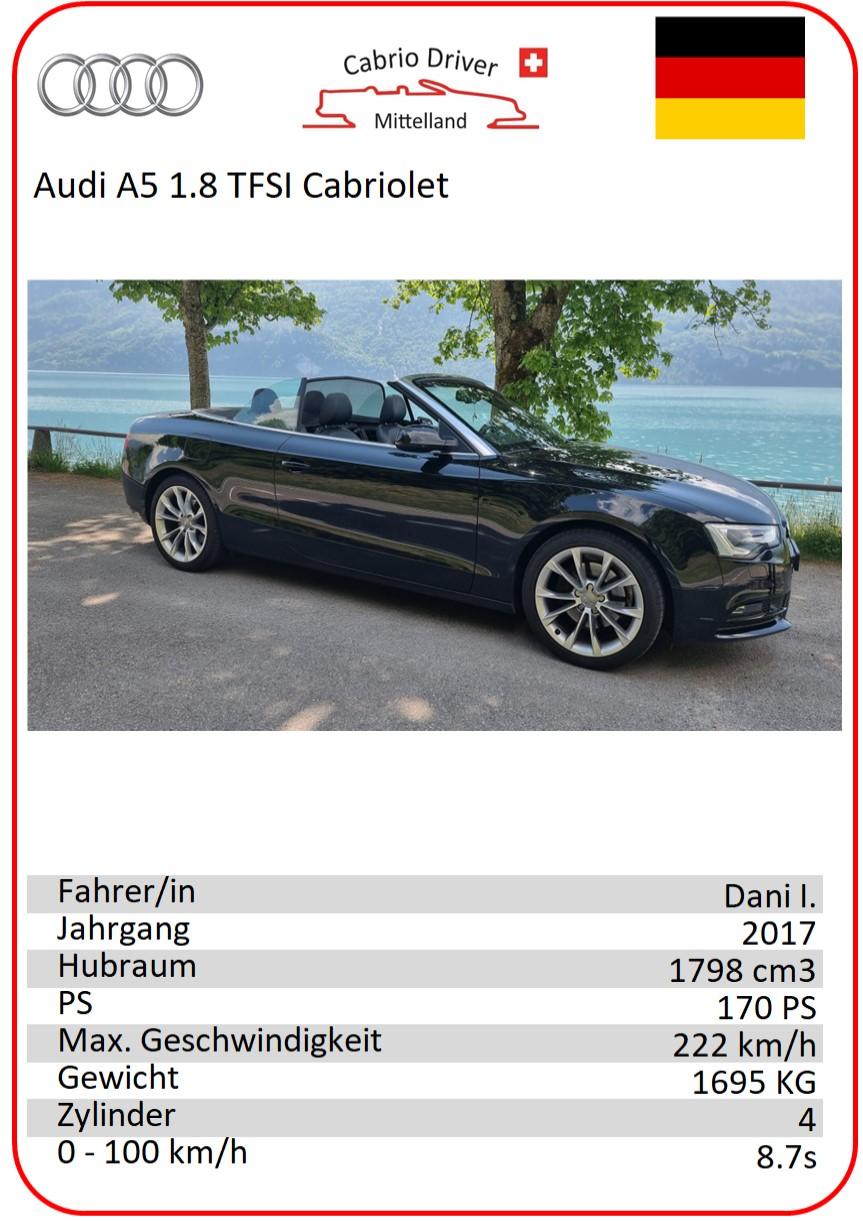 Audi - Dani I.
