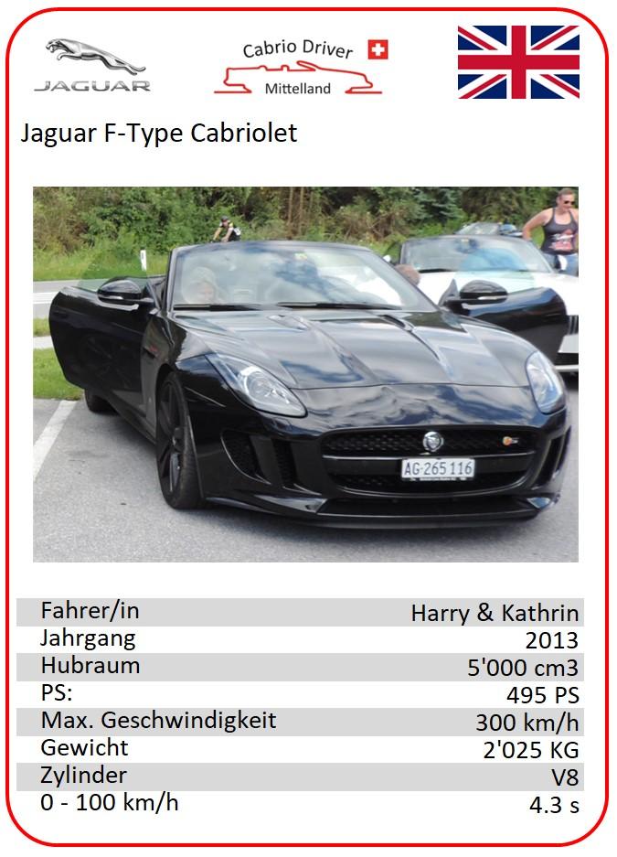 Jaguar - Harry